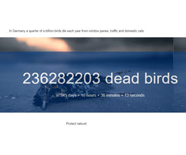 A lot of birds are being killed